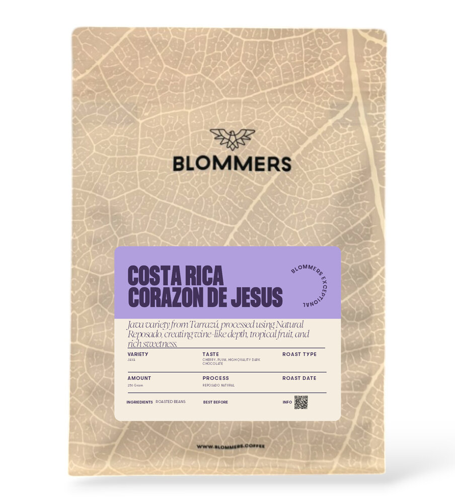 Costa Rica - Corazon de Jesus (Reposado Natural)