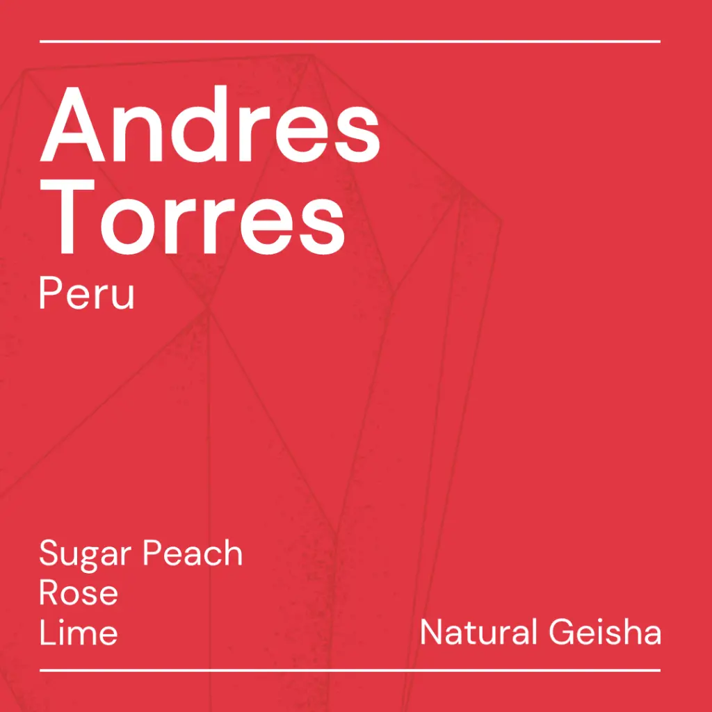 Andrès Torres Geisha